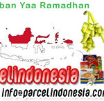 parcel indonesia